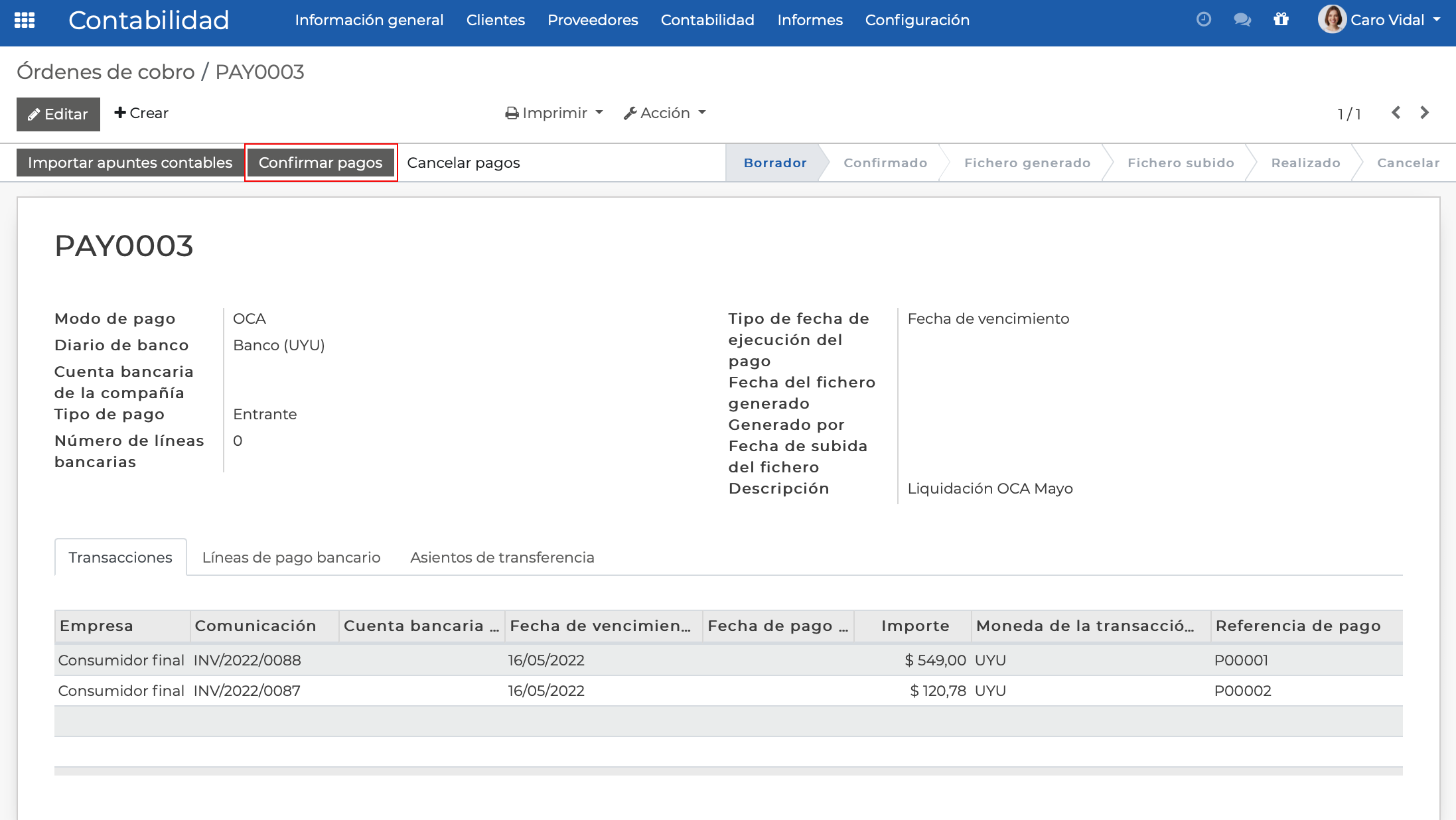 Imagen 10: Confirmar pagos