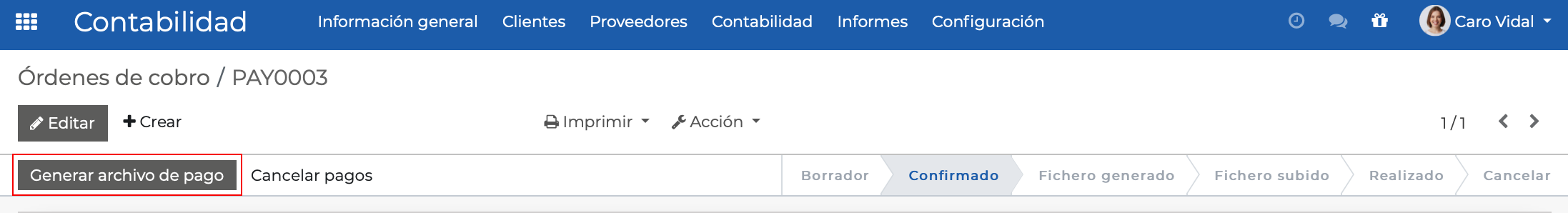 Imagen 11: Generar archivo de pago